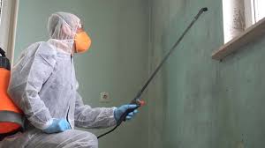 Best Mold Remediation for Healthcare Facilities  in Clifton Gardens, NY